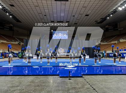 Thumbnail 3 in Cactus - Cheer (AIA Division III-IV Final) photogallery.