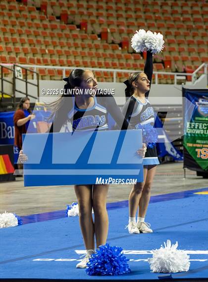 Thumbnail 3 in Cactus - Cheer (AIA Division III-IV Final) photogallery.
