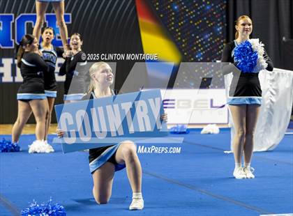 Thumbnail 1 in Cactus - Cheer (AIA Division III-IV Final) photogallery.