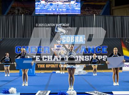 Thumbnail 2 in Cactus - Cheer (AIA Division III-IV Final) photogallery.