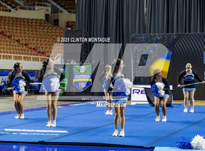 Thumbnail 3 in Cactus - Cheer (AIA Division III-IV Final) photogallery.