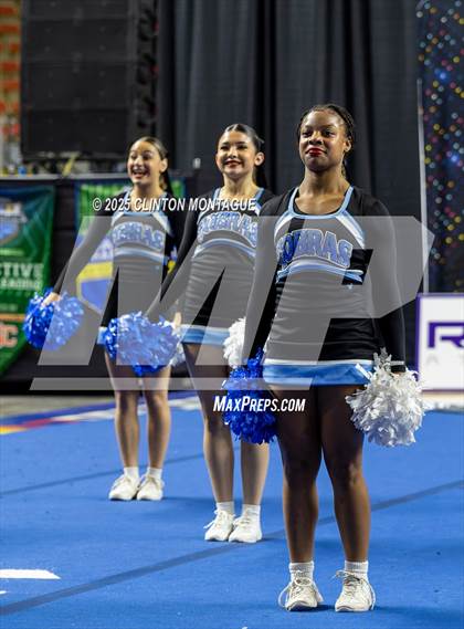 Thumbnail 3 in Cactus - Cheer (AIA Division III-IV Final) photogallery.