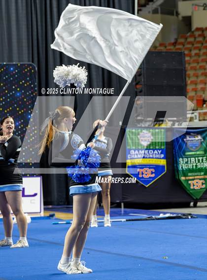 Thumbnail 3 in Cactus - Cheer (AIA Division III-IV Final) photogallery.