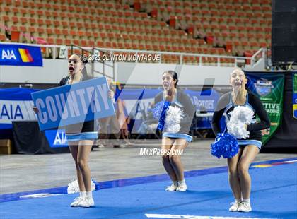 Thumbnail 1 in Cactus - Cheer (AIA Division III-IV Final) photogallery.