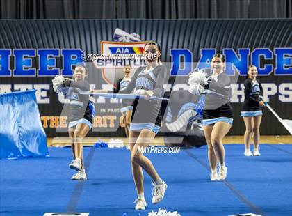 Thumbnail 3 in Cactus - Cheer (AIA Division III-IV Final) photogallery.