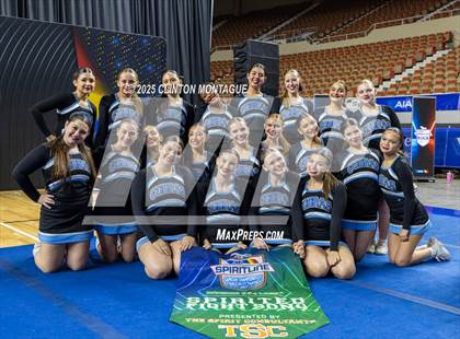 Thumbnail 3 in Cactus - Cheer (AIA Division III-IV Final) photogallery.