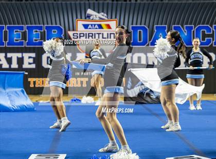 Thumbnail 1 in Cactus - Cheer (AIA Division III-IV Final) photogallery.