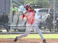 Photo from the gallery "Cathedral Catholic @ St. Augustine"
