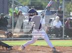 Photo from the gallery "Cathedral Catholic @ St. Augustine"
