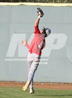 Photo from the gallery "Cathedral Catholic @ St. Augustine"