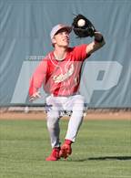Photo from the gallery "Cathedral Catholic @ St. Augustine"