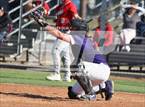 Photo from the gallery "Cathedral Catholic @ St. Augustine"