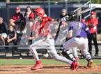 Photo from the gallery "Cathedral Catholic @ St. Augustine"