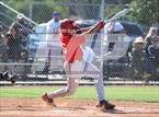 Photo from the gallery "Cathedral Catholic @ St. Augustine"