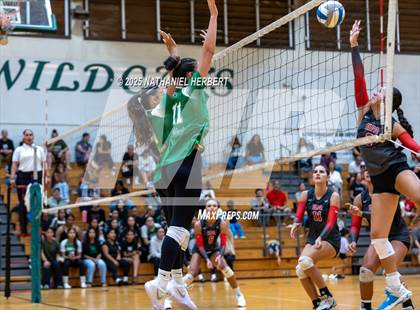 Thumbnail 1 in Hawaii Prep @ Konawaena photogallery.