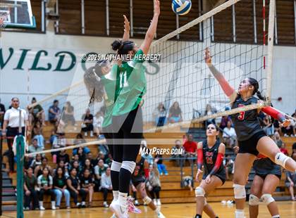 Thumbnail 2 in Hawaii Prep @ Konawaena photogallery.