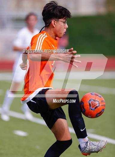 null - Photo 21