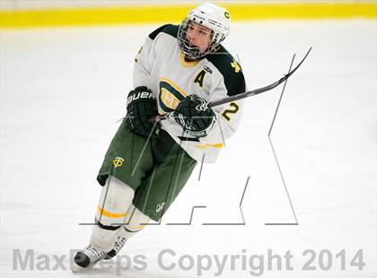 Thumbnail 2 in Darien @ Trinity Catholic photogallery.