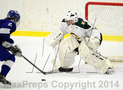 Thumbnail 1 in Darien @ Trinity Catholic photogallery.