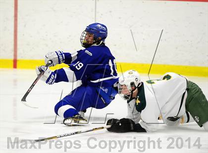 Thumbnail 3 in Darien @ Trinity Catholic photogallery.