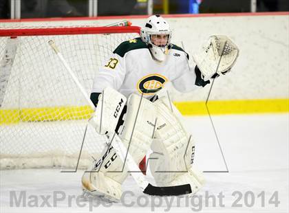 Thumbnail 1 in Darien @ Trinity Catholic photogallery.