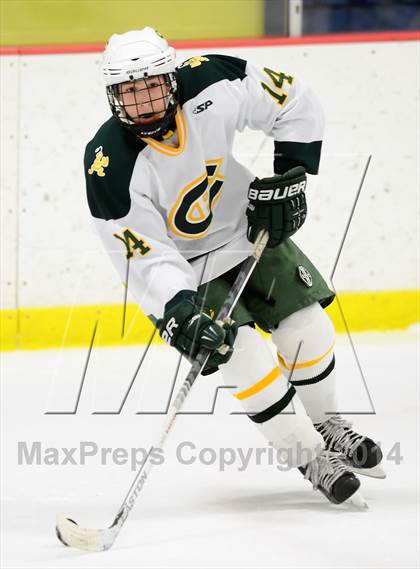 Thumbnail 2 in Darien @ Trinity Catholic photogallery.