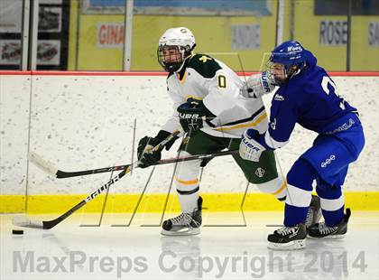 Thumbnail 1 in Darien @ Trinity Catholic photogallery.