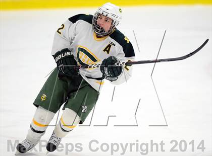 Thumbnail 3 in Darien @ Trinity Catholic photogallery.