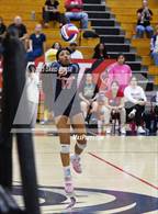 Photo from the gallery "Paraclete @ Lancaster"