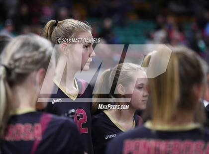 Thumbnail 1 in Lewis-Palmer vs. Ponderosa (CHSAA 4A Playoff) photogallery.