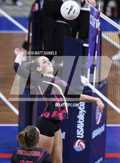 Thumbnail 2 in Lewis-Palmer vs. Ponderosa (CHSAA 4A Playoff) photogallery.