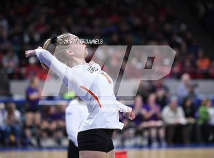 Thumbnail 1 in Lewis-Palmer vs. Ponderosa (CHSAA 4A Playoff) photogallery.