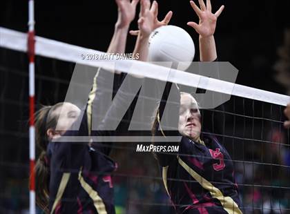 Thumbnail 3 in Lewis-Palmer vs. Ponderosa (CHSAA 4A Playoff) photogallery.