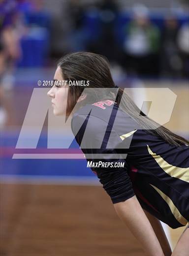 null - Photo 31