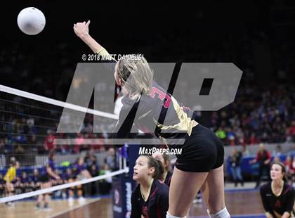 Thumbnail 3 in Lewis-Palmer vs. Ponderosa (CHSAA 4A Playoff) photogallery.