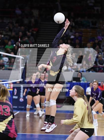 Thumbnail 1 in Lewis-Palmer vs. Ponderosa (CHSAA 4A Playoff) photogallery.