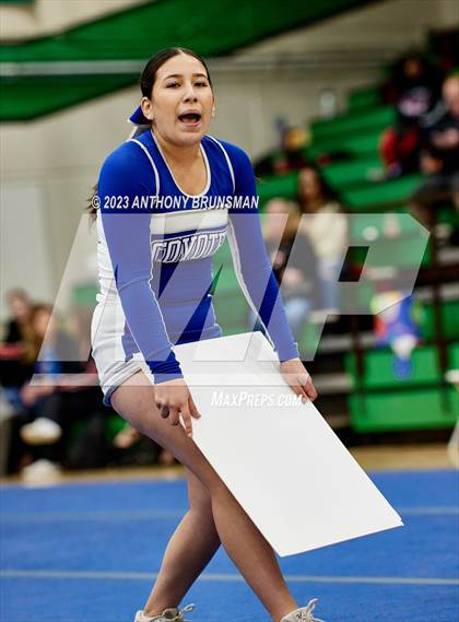 Thumbnail 3 in Madera - CIF Northern Regional Cheer Championships photogallery.
