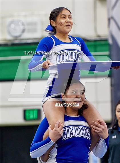 Thumbnail 3 in Madera - CIF Northern Regional Cheer Championships photogallery.