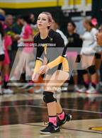 Photo from the gallery "Novato @ San Marin"