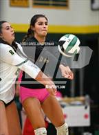 Photo from the gallery "Novato @ San Marin"
