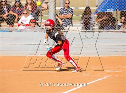 Thumbnail 1 in Great Oak @ Mater Dei photogallery.