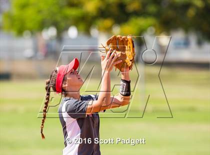 Thumbnail 3 in Great Oak @ Mater Dei photogallery.