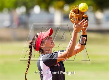 Thumbnail 1 in Great Oak @ Mater Dei photogallery.