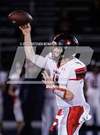 Photo from the gallery "Warde @ Wilton"
