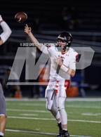 Photo from the gallery "Warde @ Wilton"