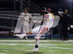 Photo from the gallery "Warde @ Wilton"