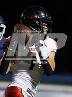 Photo from the gallery "Warde @ Wilton"