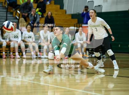 Thumbnail 3 in Juanita @ Redmond photogallery.