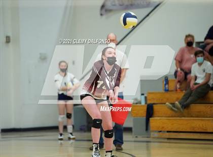 Thumbnail 3 in Golden @ Evergreen photogallery.