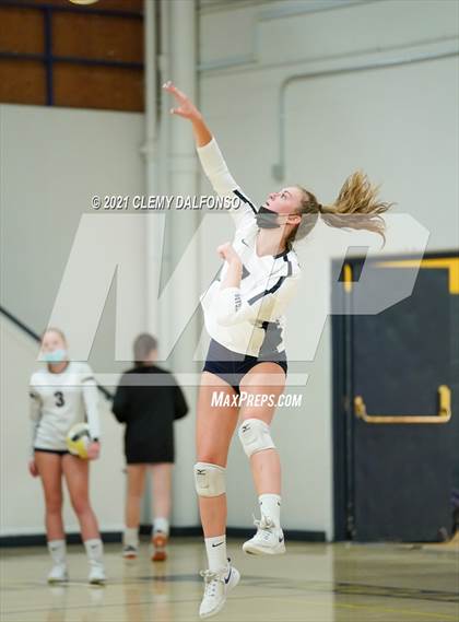 Thumbnail 2 in Golden @ Evergreen photogallery.